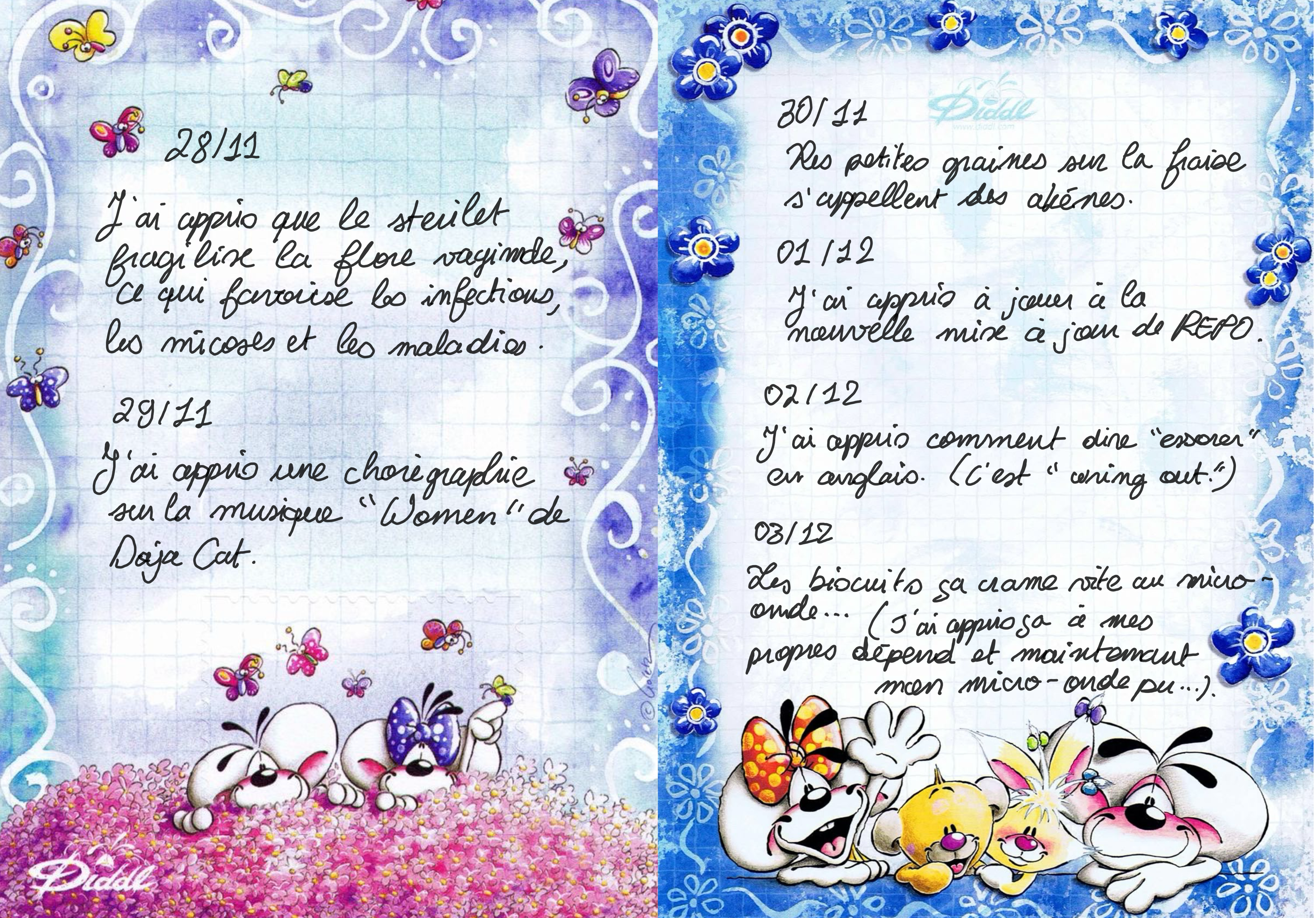 fiche diddle avec des entrées comme un journal intime